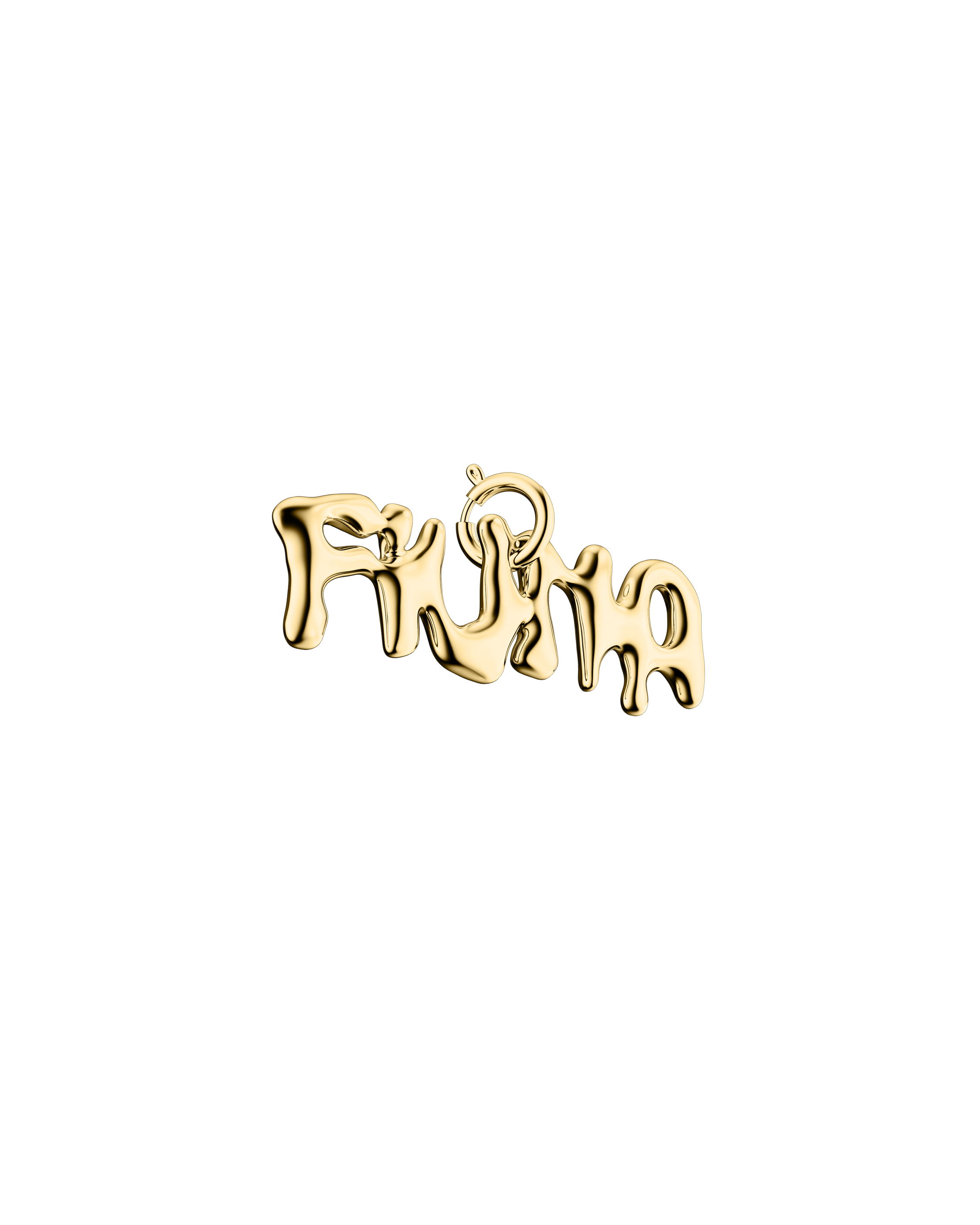 FIUNA Charm