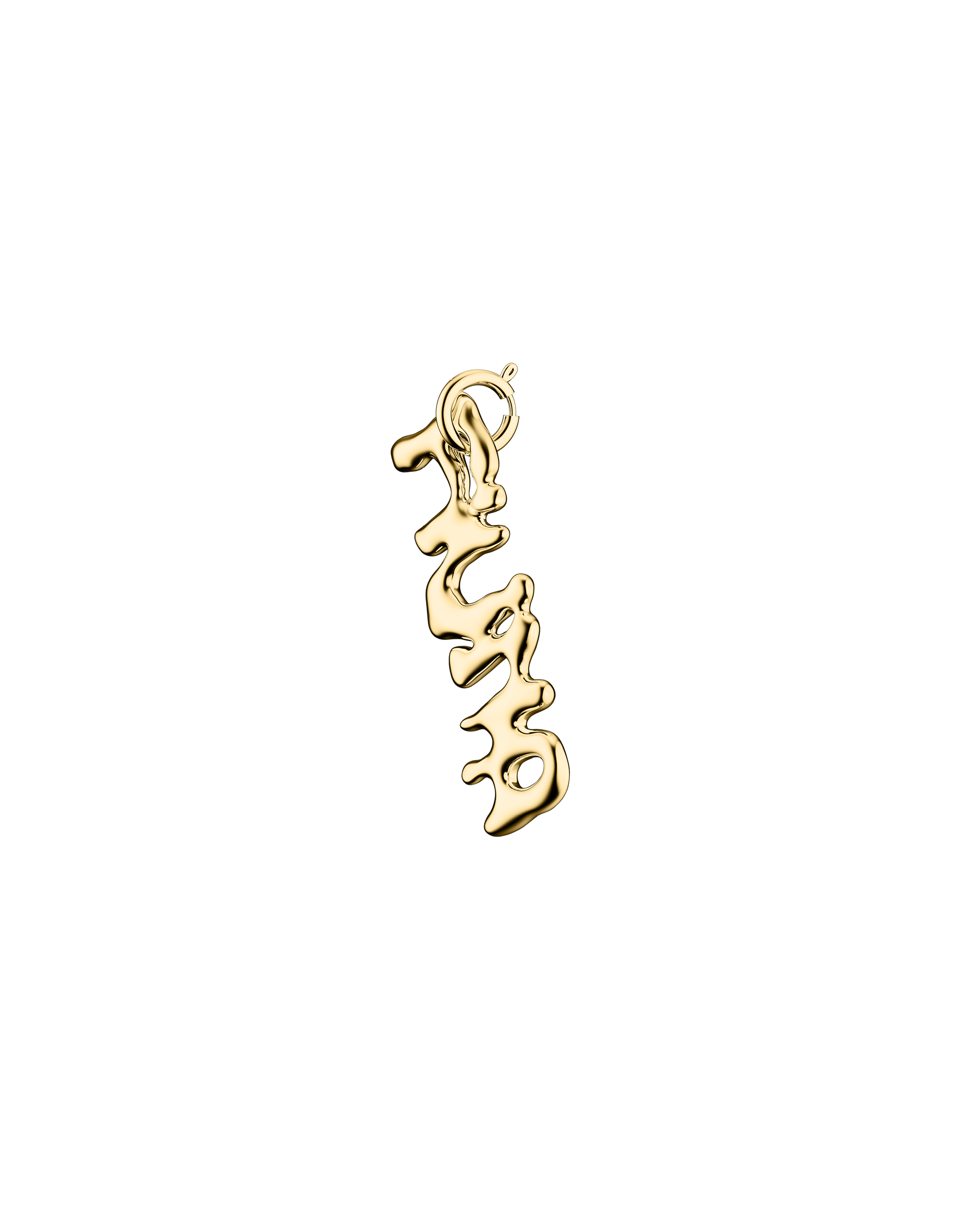 FIUNA Charm